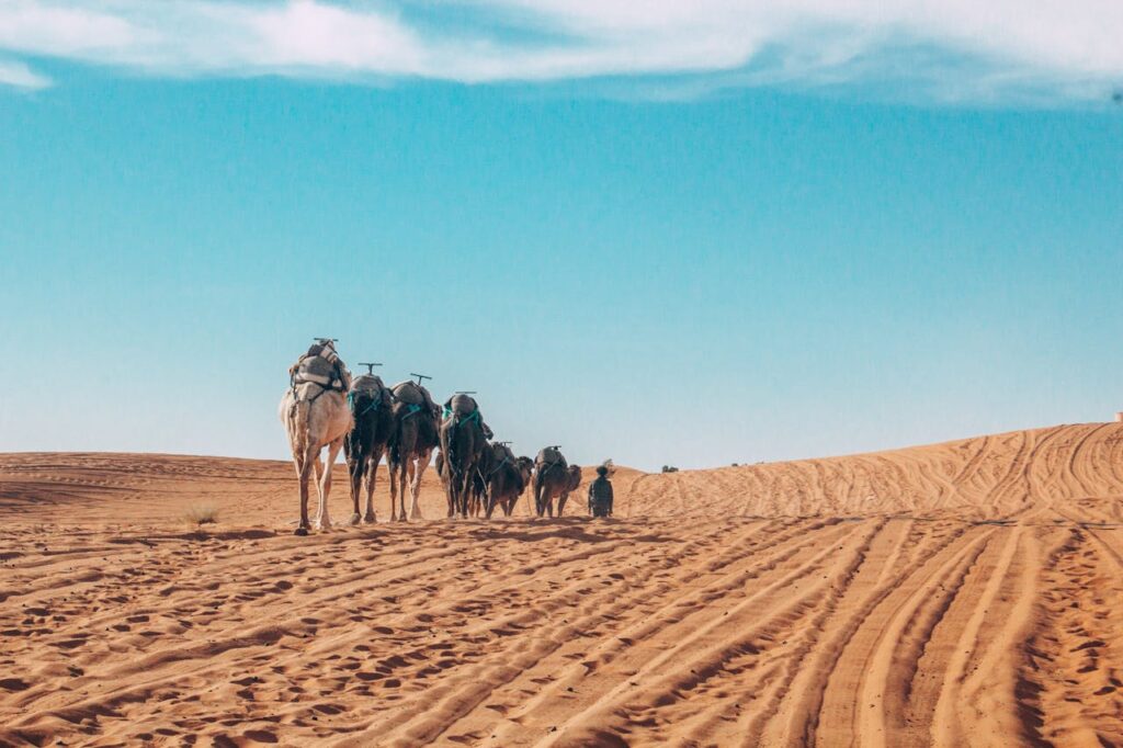 DEserto do Saara