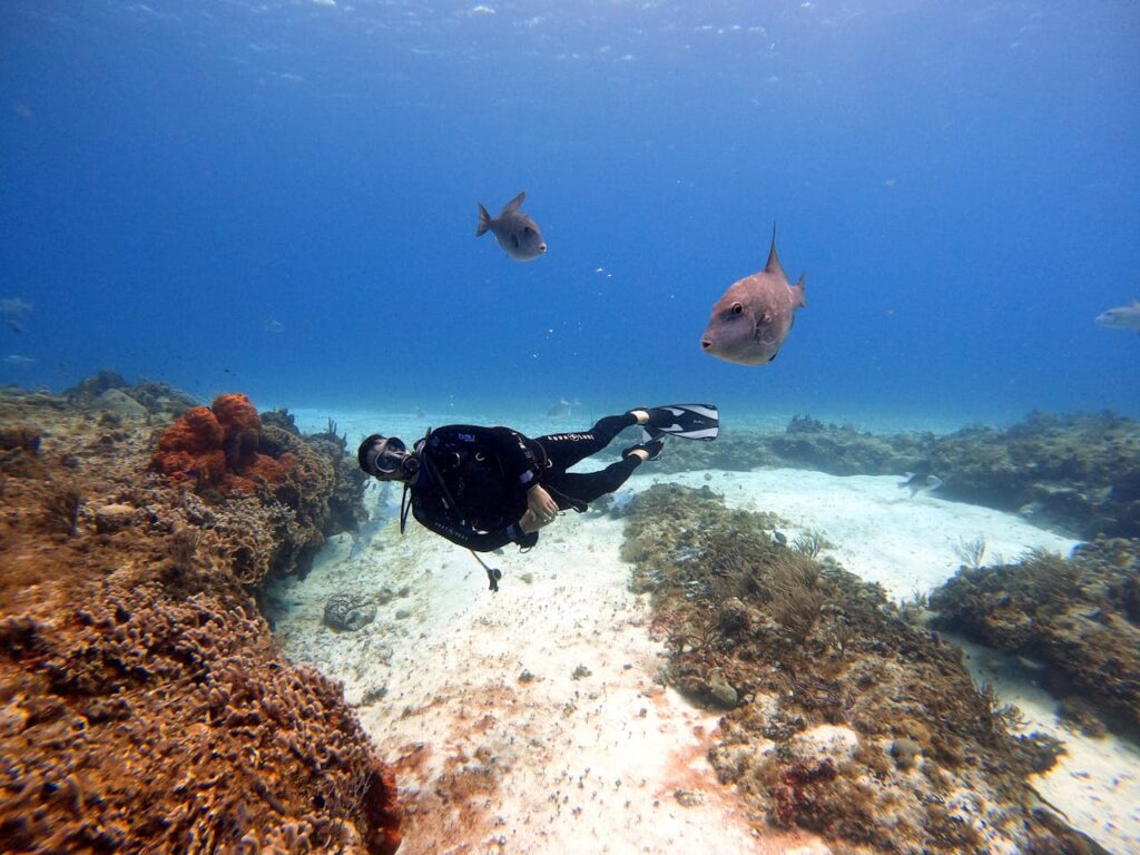 Praias do México - Cozumel